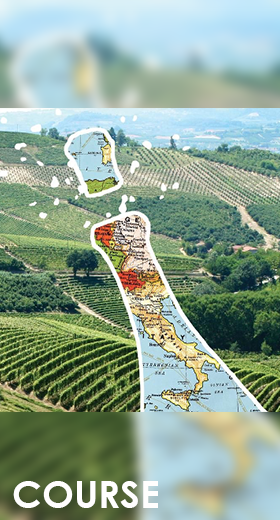 DOLCE VITA IN A BUBBLE: THE ITALIAN WAY TO SPARKLING WINES