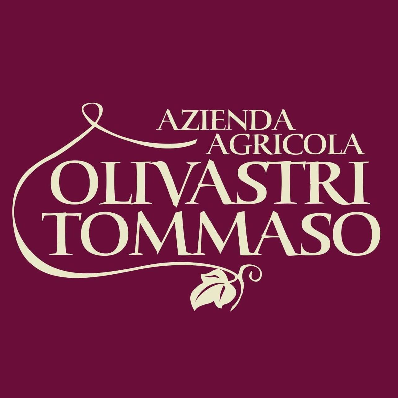 olivastri tommaso logo